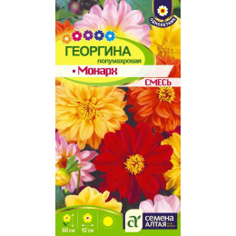 Цветы Георгина Монарх смесь полумахровая/Агрофирма 'Семена Алтая'/семена упакованы в цветном пакете 0,2 гр.