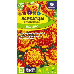 Цветы Бархатцы Болеро махровые/Агрофирма 'Семена Алтая'/семена упакованы в цветном пакете 0,3 гр.