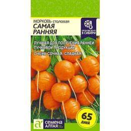 Морковь Самая Ранняя/Агрофирма 'Семена Алтая'/семена упакованы в цветном пакете 1 гр.