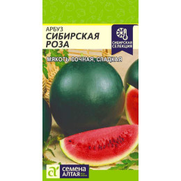 Арбуз Сибирская Роза/Агрофирма 'Семена Алтая'/семена упакованы в цветном пакете 0,5 гр.