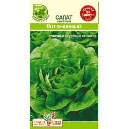 Зелень Салат Витаминный/Агрофирма 'Семена Алтая'/семена упакованы в белом пакете 0,5 гр.