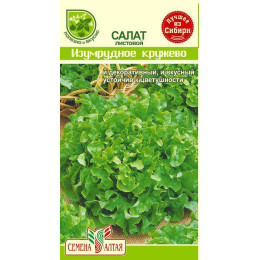 Зелень Салат Изумрудное Кружево/Агрофирма 'Семена Алтая'/семена упакованы в цветном пакете 0,5 гр.