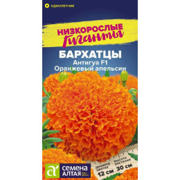 Цветы Бархатцы Антигуа Оранжевый апельсин/Агрофирма 'Семена Алтая'/семена упакованы в цветном пакете 5 шт. Низкорослые гиганты