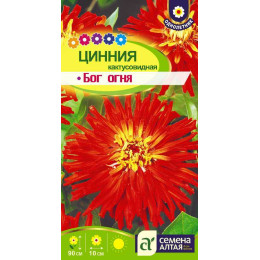Цветы Цинния Бог Огня кактусовидная/Агрофирма 'Семена Алтая'/семена упакованы в цветном пакете 0,2 гр.