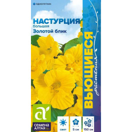 Цветы Настурция Золотой Блик большая/Агрофирма 'Семена Алтая'/семена упакованы в цветном пакете 1 гр. Вьющиеся растения
