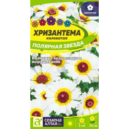 Цветы Хризантема Полярная Звезда килеватая/Агрофирма 'Семена Алтая'/семена упакованы в цветном пакете 0,1 гр.