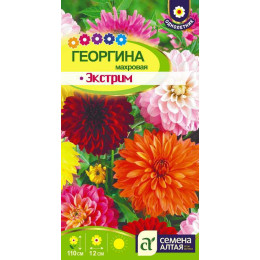 Цветы Георгина Экстрим/Агрофирма 'Семена Алтая'/семена упакованы в цветном пакете 0,2 гр.