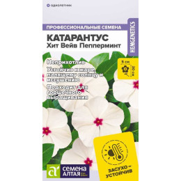 Цветы Катарантус Хит Вейв Пепперминт/Агрофирма 'Семена Алтая'/семена упакованы в цветном пакете 7 шт.