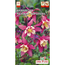 Цветы Аквилегия Розовая королева/Агрофирма 'Семена Алтая'/семена упакованы в цветном пакете 0,1 гр. многолетник