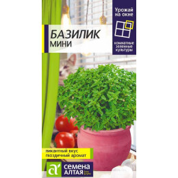 Зелень Базилик Мини/Агрофирма 'Семена Алтая'/семена упакованы в цветном пакете 0,3 гр. УРОЖАЙ НА ОКНЕ! НОВИНКА!