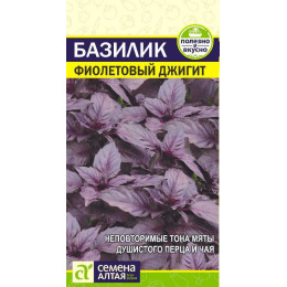 Зелень Базилик Фиолетовый Джигит/Агрофирма 'Семена Алтая'/семена упакованы в цветном пакете 0,3 гр.