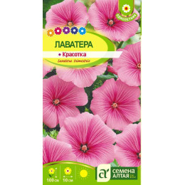 Цветы Лаватера Красотка/Агрофирма 'Семена Алтая'/семена упакованы в цветном пакете 0,2 гр.