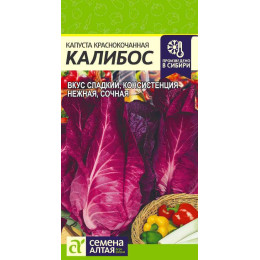 Капуста Краснокочанная Калибос/Агрофирма 'Семена Алтая'/семена упакованы в цветном пакете 0,3 гр.