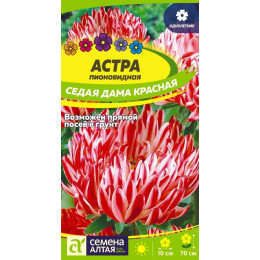 Цветы Астра Седая Дама Красная/Агрофирма 'Семена Алтая'/семена упакованы в цветном пакете 0,2 гр.