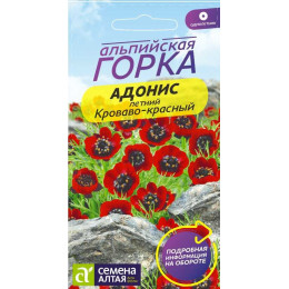 Цветы Адонис летний Кроваво-красный/Агрофирма 'Семена Алтая'/семена упакованы в цветном пакете 0,2 гр. Альпийская горка