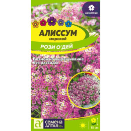 Цветы Алиссум Рози О`Дей/Агрофирма 'Семена Алтая'/семена упакованы в цветном пакете 0,1 гр.