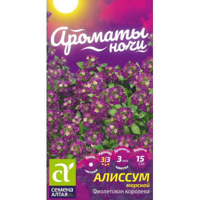 Цветы Алиссум Фиолетовая Королева/Агрофирма 'Семена Алтая'/семена упакованы в цветном пакете 0,1 гр. Ароматы ночи