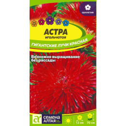Цветы Астра Гигантские лучи Красная/Агрофирма 'Семена Алтая'/семена упакованы в цветном пакете 0,2 гр.