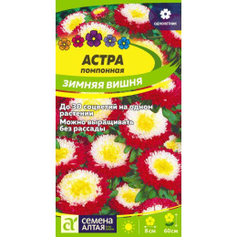 Цветы Астра Зимняя Вишня помпонная/Агрофирма 'Семена Алтая'/семена упакованы в цветном пакете 0,2 гр.