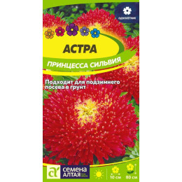 Цветы Астра Принцесса Сильвия/Агрофирма 'Семена Алтая'/семена упакованы в цветном пакете 0,2 гр. карминно-красная