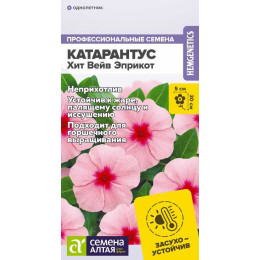 Цветы Катарантус Хит Вейв Эприкот/Агрофирма 'Семена Алтая'/семена упакованы в цветном пакете 7 шт.