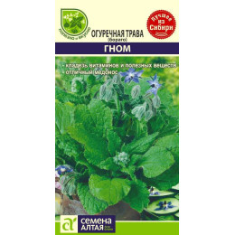 Зелень Огуречная Трава Гном/Агрофирма 'Семена Алтая'/семена упакованы в цветном пакете 0,5 гр.