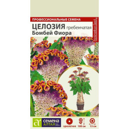 Цветы Целозия Бомбей Фиора гребенчатая/Агрофирма 'Семена Алтая'/семена упакованы в цветном пакете 3 шт. НОВИНКА