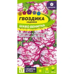 Цветы Гвоздика Шабо Бенигна cадовая/Агрофирма 'Семена Алтая'/семена упакованы в цветном пакете 0,1 гр.